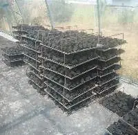 Charcoal Briquette