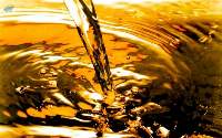 Used Cooking Oil