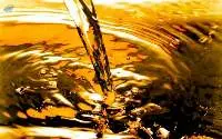 Used Cooking Oil