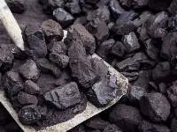 Steam Coal