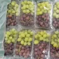 Fresh Grapes