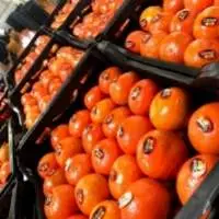 Mandarine