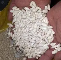 White Beans
