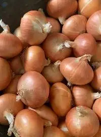 Yellow Onions