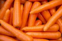 Fresh Carrot