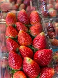 Fresh Strawberries