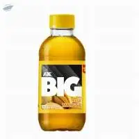 Big Carbonated Drink 200ml Mango