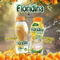 Floridina Orange Pulp Drink