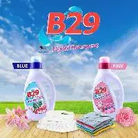 B29 Liquid Detergent