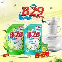 B29 Dishwashing Liquid