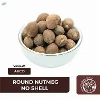 Round Nutmeg No Shell