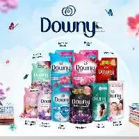 Downy Fabric Softener Fragrance