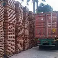 Albasia Falcata Wood - Barecore - Pallets