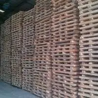 Albazia Falcata/Pine Wood Pallets - Inner Core