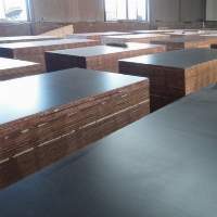 2026 Film Faced Plywood Construction  