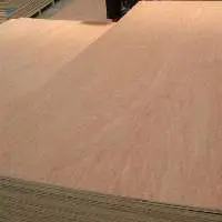 2025  Meranti Commercial Plywood