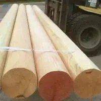 Wooden Poles For Construction