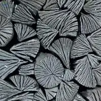 Wood Charcoal - Mangrove - Halaban - Tamarind