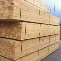 2025 Pine wood - Rubber wood -  Falcata