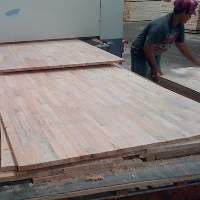Falcata Inner Core For Block Board