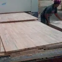 Falcata Inner Core For Block Board