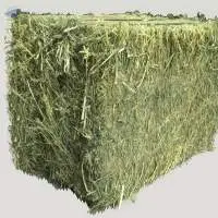 Alfalfa Hay