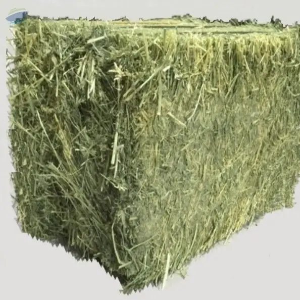 Alfalfa Hay