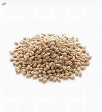Pearl Barley