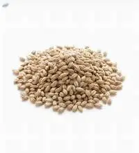Pearl Barley
