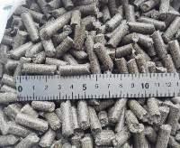 Sugar Beet Pulps Pellets