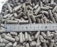 Sugar Beet Pulps Pellets