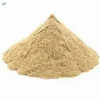 Bhumi Amla Extract (Phyllonthus Niruri)