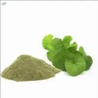 Brahmi Extract (Bacopa Monnieri)