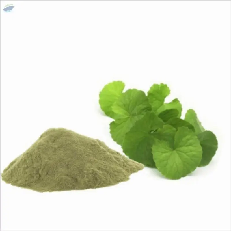 Brahmi Extract (Bacopa Monnieri)