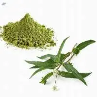 Bringraj Extract (Eclipta Alba)