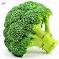 Brocoli Extracts (Brassica Oleracea)