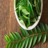 Curry Leaf Powder Extract