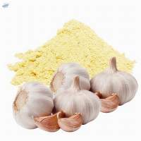 Garlic Extract (Allium sativum)