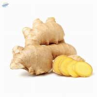 Ginger Extract (Zingiber Officinole)