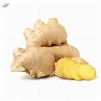 Ginger Extract (Zingiber Officinole)
