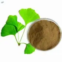 Ginkobiloba Extract (Ginkobiloba)