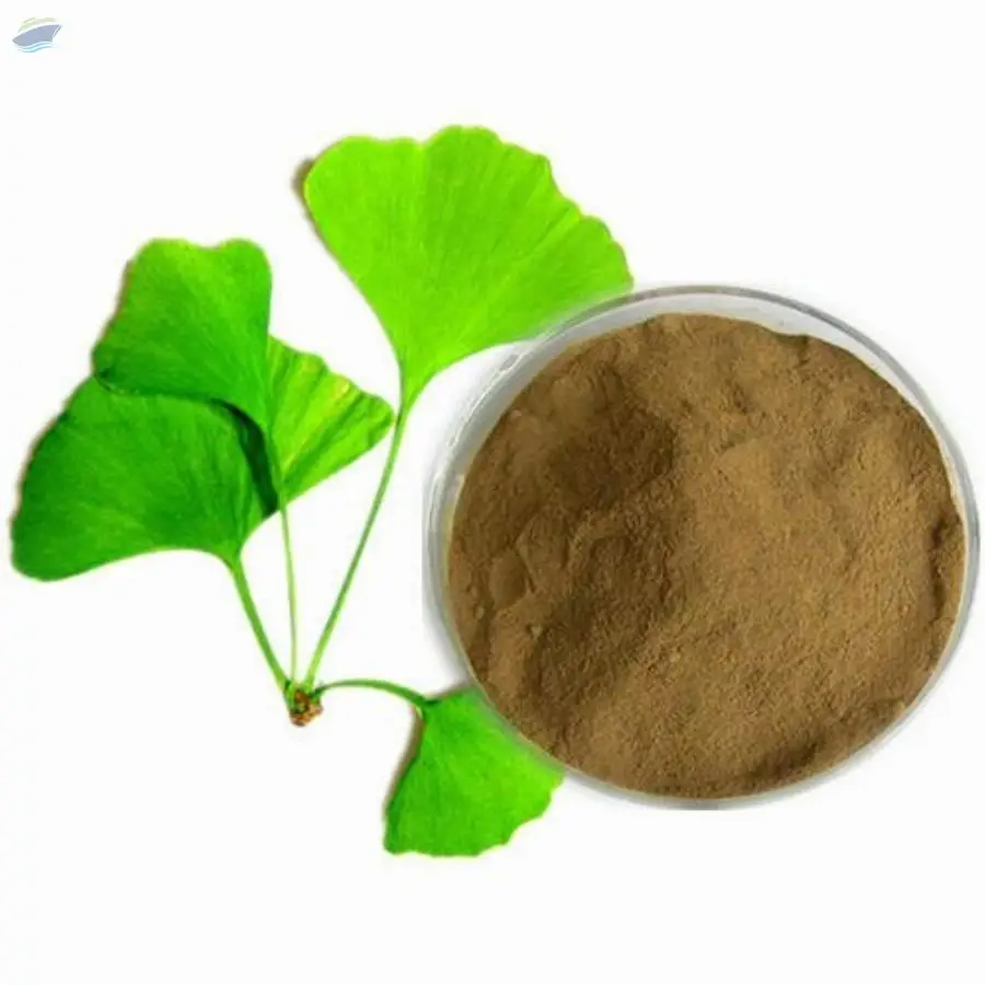 Ginkobiloba Extract (Ginkobiloba)