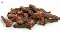 Lavang Extract(Syzgium Aromaticum)