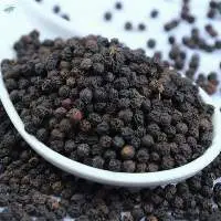 Black Pepper (Spices)