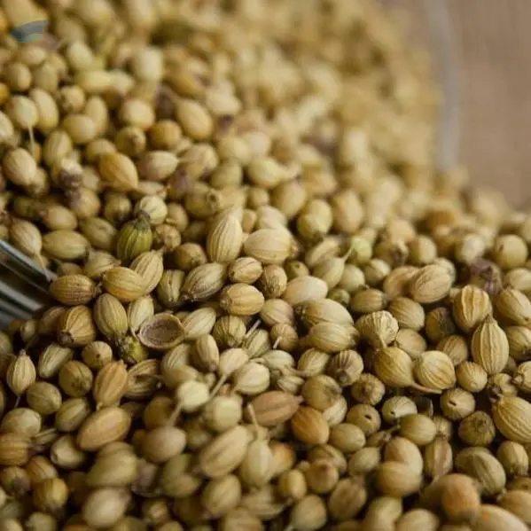 Coriander (Spices)