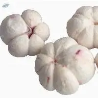 Freeze Dried Mangosteen