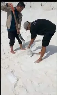 Indonesia Silica Sand