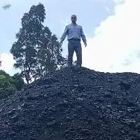 Coal