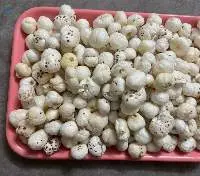 Fox Nut/Lotus Seeds/Phool Makhana