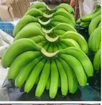 Raw Banana